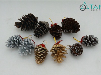 Combo 10 trái thông dầu trang trí Noel XMAS-18